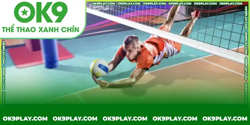 Các loại kèo cược bóng chuyền phổ biến tại OK9